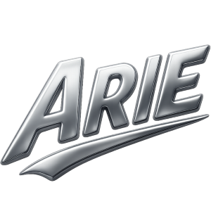 Arie sorgt allein für Partystimmung wie eine ganze Band - Schweizweit